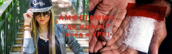 шишки Карпинск