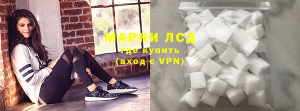 шишки Карпинск