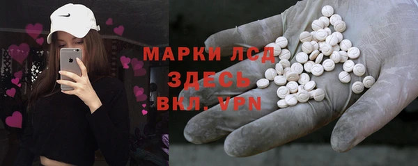 шишки Карпинск