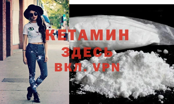 шишки Карпинск