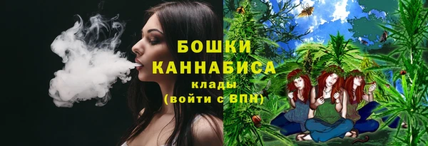 шишки Карпинск