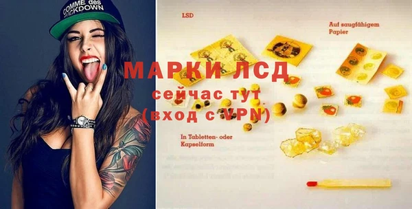 шишки Карпинск